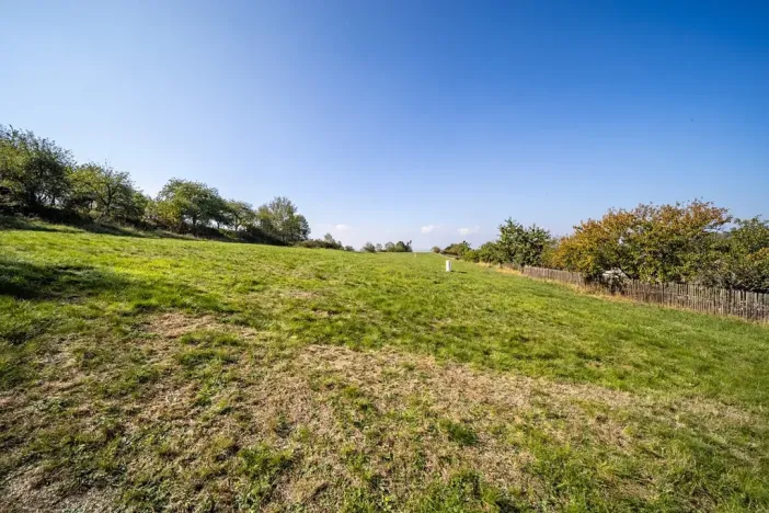 Prodej pozemku pro bydlení, Daleké Dušníky, 5258 m2