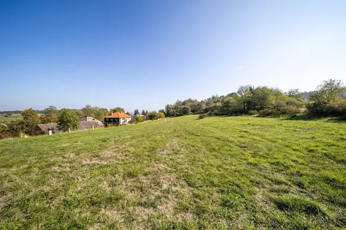 Prodej pozemku pro bydlení, Daleké Dušníky, 5258 m2
