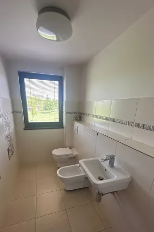 Prodej rodinného domu, Borek, 170 m2