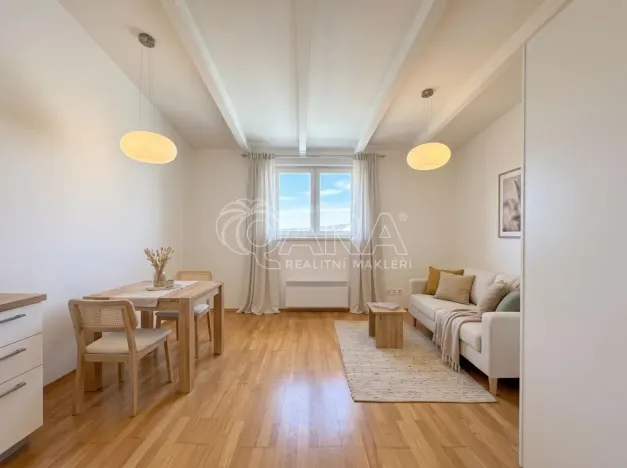 Pronájem bytu 1+kk, Praha - Dejvice, Kafkova, 39 m2