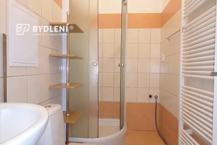 Pronájem bytu 1+1, Teplice, Revoluční, 48 m2
