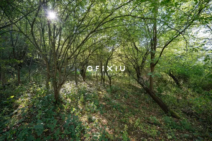 Prodej pozemku pro bydlení, Kanice, 2194 m2