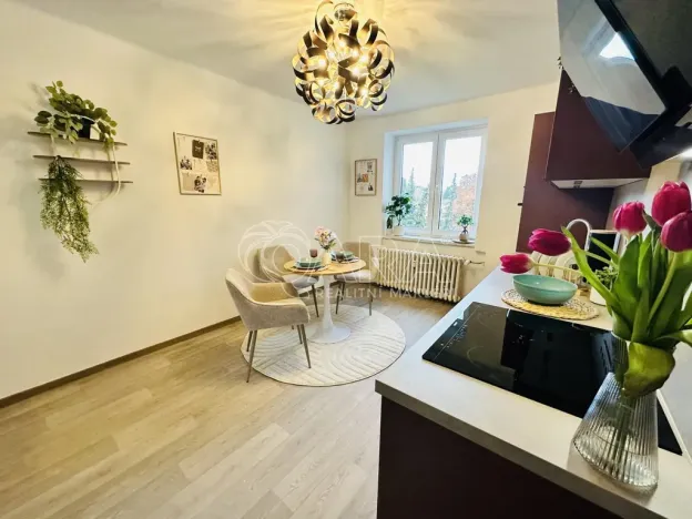 Prodej bytu 2+1, Strakonice - Strakonice I, Mikoláše Alše, 63 m2