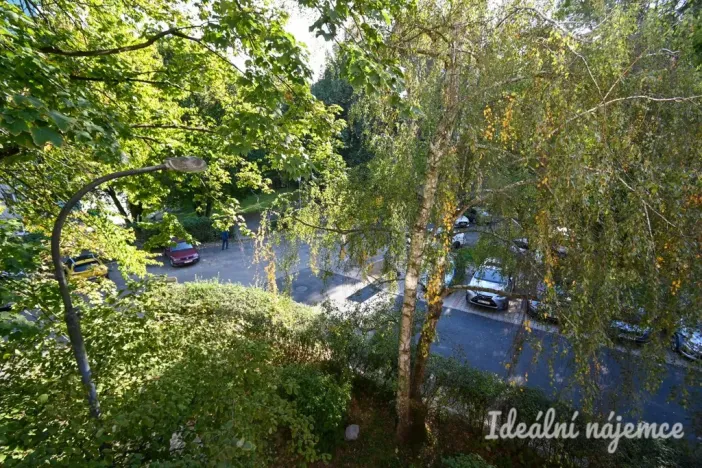 Pronájem bytu 2+1, Brno - Bystrc, Vondrákova, 61 m2