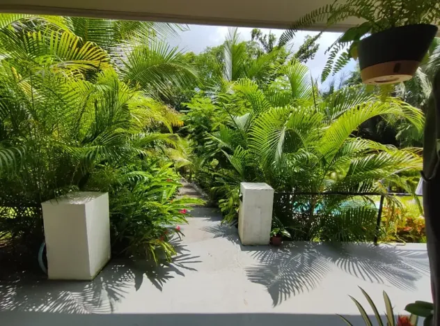 Prodej apartmánu, Puerto Carrillo, Kostarika, 210 m2