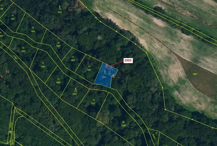 Dražba lesa, Hluboké Mašůvky, 342 m2