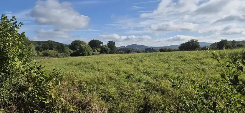 Prodej pozemku pro bydlení, Jestřebí, 1898 m2