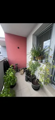 Pronájem bytu 2+kk, Brno, Klíčova, 39 m2