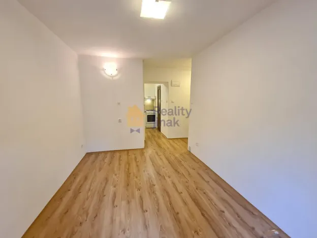 Prodej bytu 1+1, Brno - Staré Brno, Vodní, 24 m2