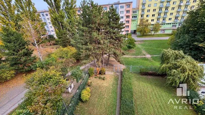 Prodej bytu 3+kk, Brno, Polní, 72 m2