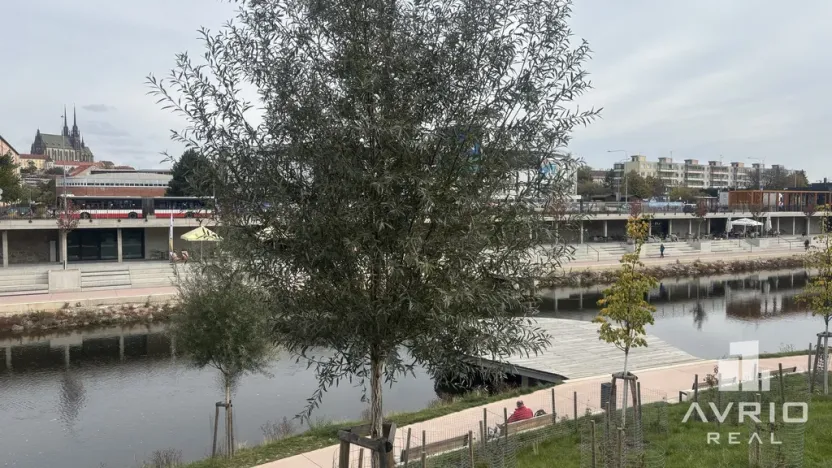 Prodej bytu 3+kk, Brno, Polní, 72 m2