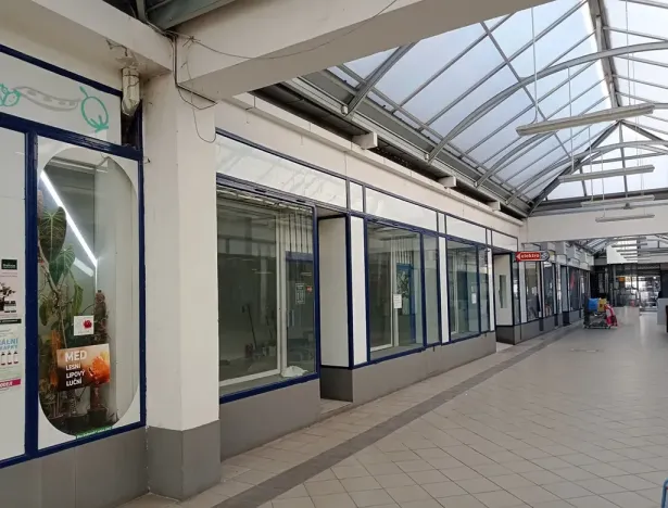 Pronájem obchodního prostoru, Brno, Palackého třída, 45 m2
