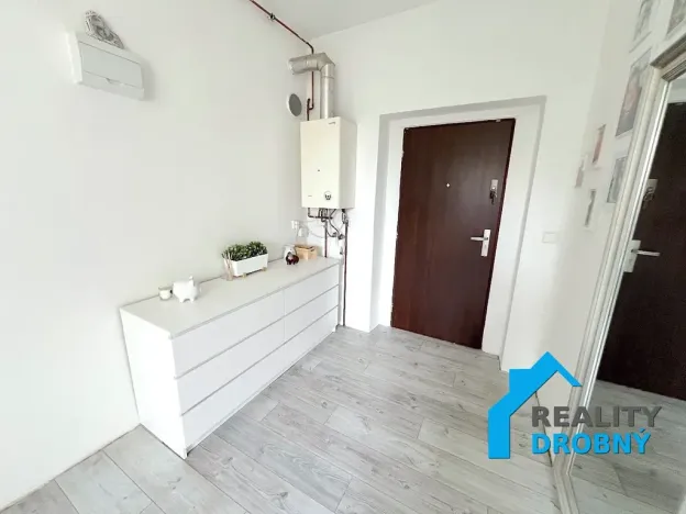 Prodej bytu 3+kk, Děčín, Vilsnická, 100 m2
