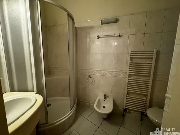 Pronájem bytu 4+kk, Praha - Nové Město, Truhlářská, 124 m2
