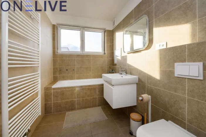 Prodej bytu 1+kk, Heřmanova Huť, U Pondu, 35 m2