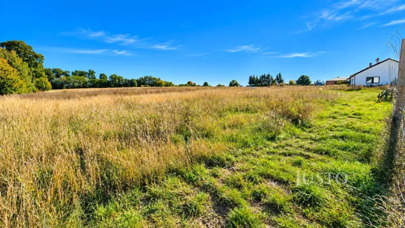 Prodej pozemku pro bydlení, Čížová - Zlivice, 955 m2