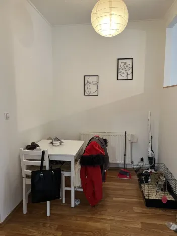 Pronájem bytu 2+kk, Plzeň - Jižní Předměstí, Kollárova, 55 m2
