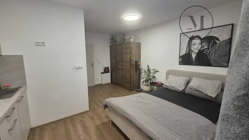 Pronájem bytu 1+kk, České Budějovice, Pekárenská, 22 m2