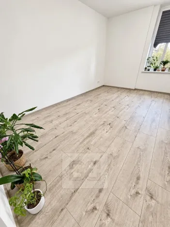 Pronájem bytu 1+1, Mělník, Pražská, 45 m2