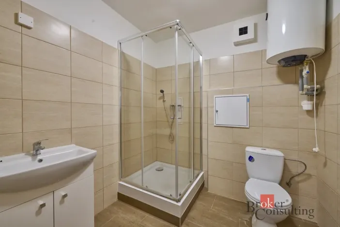 Pronájem bytu 1+kk, Mlékojedy, 43 m2