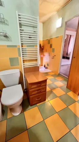 Prodej rodinného domu, Bílina - Újezdské Předměstí, Alšova, 150 m2