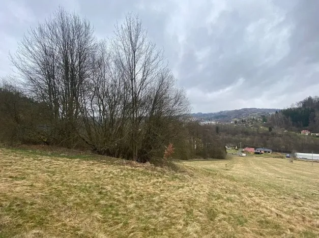 Prodej pole, Semily, 7826 m2