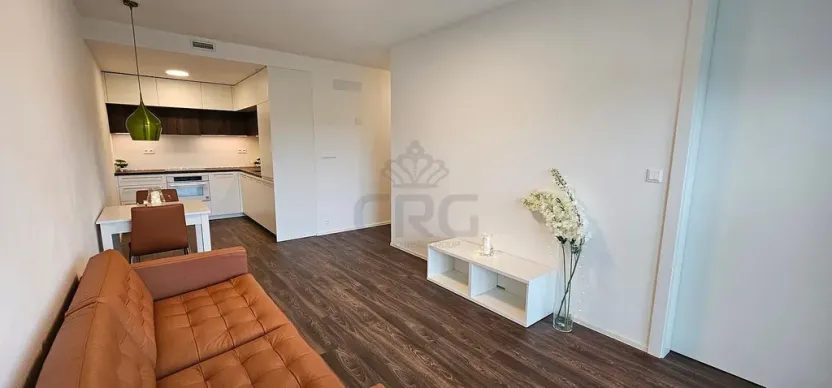 Pronájem bytu 2+kk, Brno - Veveří, Lidická, 55 m2