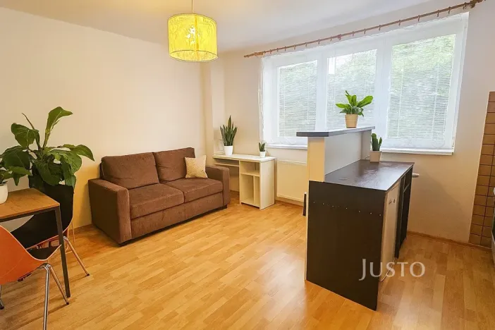 Pronájem bytu 1+kk, Písek, Přemyslova, 28 m2