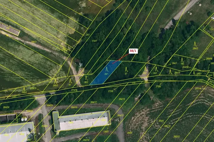Dražba lesa, Horní Dunajovice, 245 m2