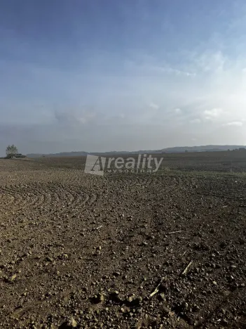 Prodej pozemku pro bydlení, Okříšky, Masarykova, 1004 m2
