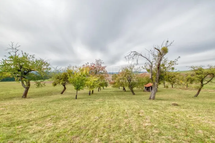 Prodej zahrady, Starý Jičín - Janovice, 10274 m2