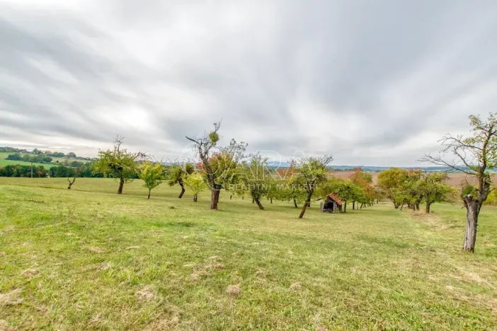 Prodej zahrady, Starý Jičín - Janovice, 10274 m2