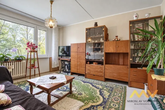 Prodej bytu 1+1, Hradec Králové - Pražské Předměstí, Jungmannova, 41 m2