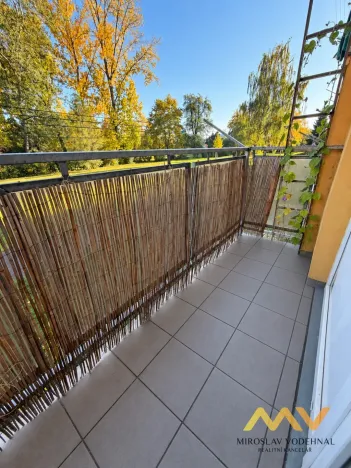 Prodej bytu 1+1, Hradec Králové - Pražské Předměstí, Jungmannova, 41 m2