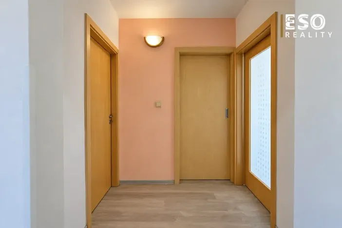 Prodej bytu 2+1, Ostrava, Lumírova, 61 m2