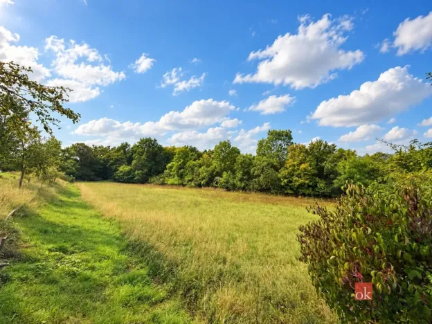 Prodej pozemku pro bydlení, Krhov, 8750 m2