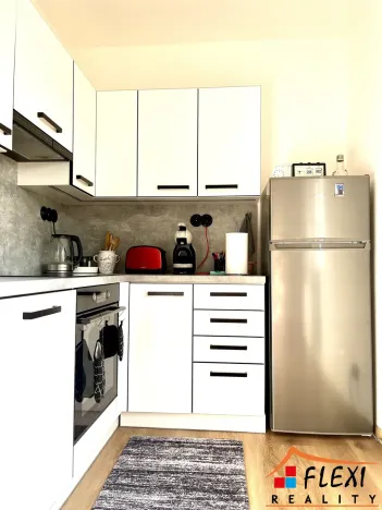 Pronájem bytu 1+1, Ostrava - Mariánské Hory, Železárenská, 40 m2