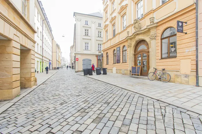 Pronájem bytu 2+kk, Olomouc, Michalská, 77 m2