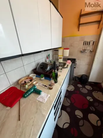 Prodej bytu 2+1, Bílina - Teplické Předměstí, M. Švabinského, 55 m2