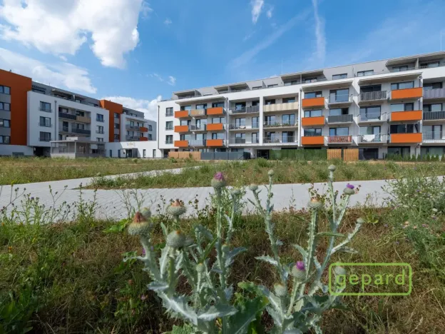 Prodej bytu 3+kk, Olomouc, Aloise Rašína, 88 m2