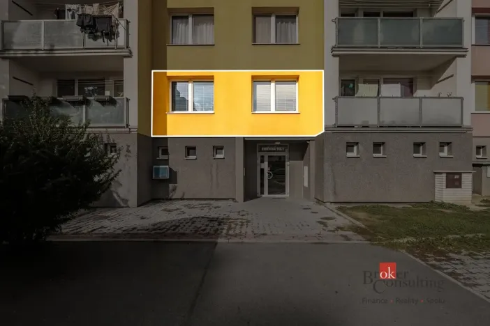 Prodej bytu 1+1, Plzeň - Severní Předměstí, Brněnská, 48 m2