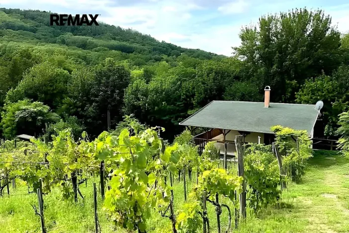 Prodej chalupy, Pincehely, Maďarsko, 145 m2