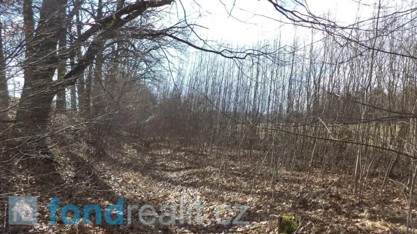 Prodej pozemku, Lužnice, 2131 m2