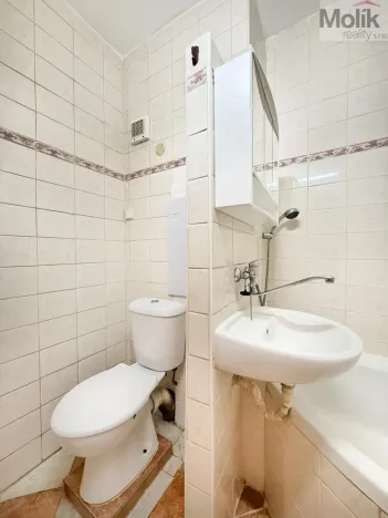 Prodej bytu 2+1, Duchcov, Sadová, 50 m2