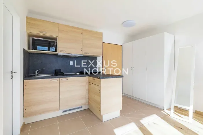 Pronájem bytu 1+kk, Praha - Smíchov, Nad Palatou, 35 m2