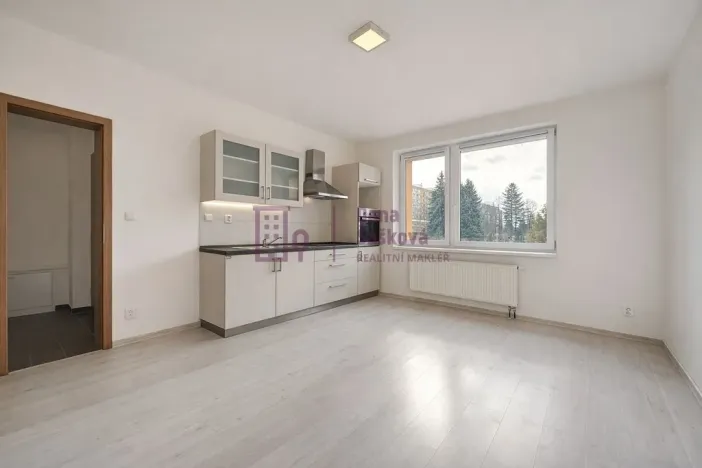 Pronájem bytu 1+kk, Jindřichův Hradec - Jindřichův Hradec III, sídliště Vajgar, 23 m2