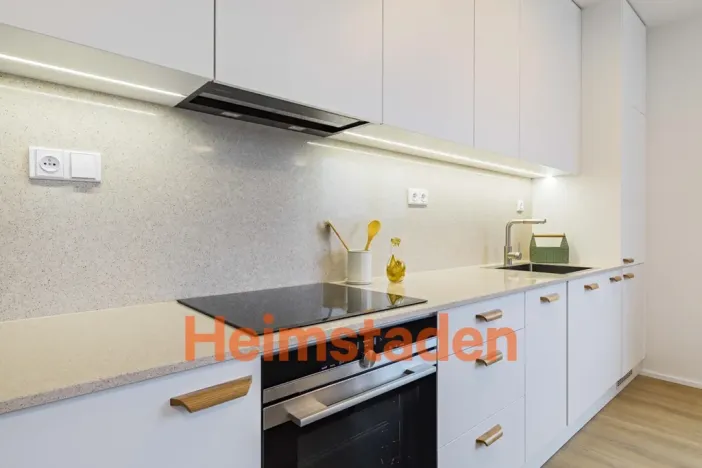 Pronájem bytu 2+kk, Praha - Holešovice, U Pergamenky, 55 m2