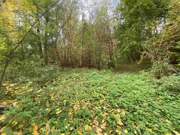Dražba louky, Svijany, 1003 m2