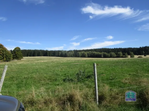 Prodej louky, Lesná - Stará Knížecí Huť, 410390 m2