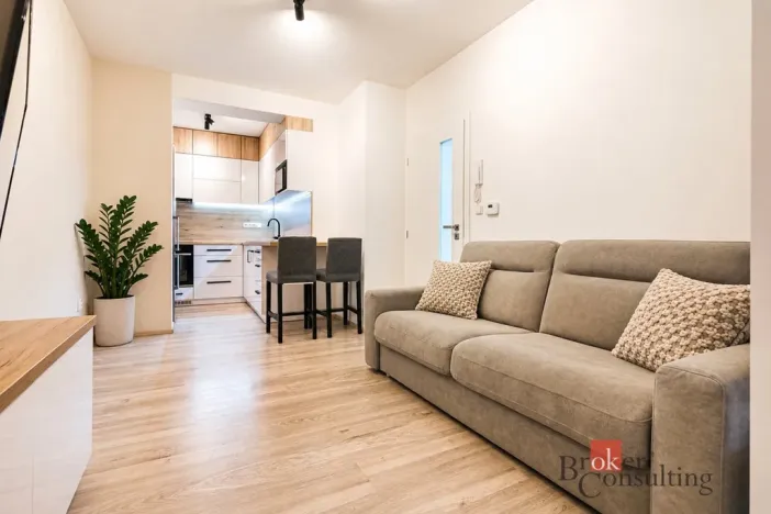 Prodej bytu 1+kk, Brno - Židenice, Vinařického, 42 m2